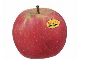 ariane apple with sticker