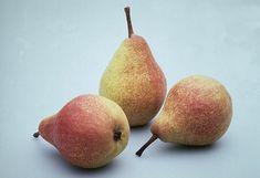 Dutch pear crop downsized