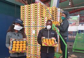 South Africa sharon fruit informal produce trade