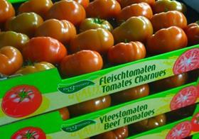 Greenery tomatoes