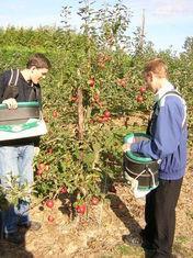 Hadlow College is among those experiencing a surge of popularity