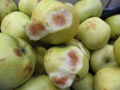 The offending produce
