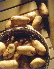 Murcia wants potato label for UK