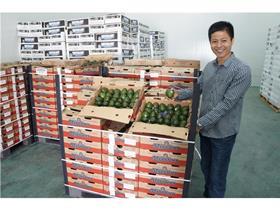 Lantao's Mr. Guo Li Xiang with First Shipment of Mission Avocados
