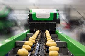 UK_New Internal Potato Sorting with the MAF optical sorter