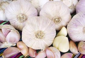 Mexican garlic