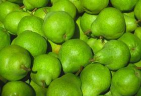 Awe Sum Organics Argentine pears