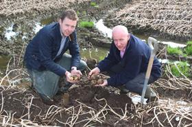 NI potato growers