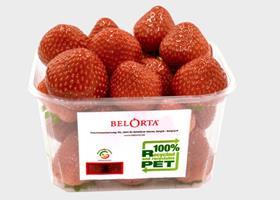 BE BelOrta Tray2Tray strawberries