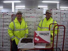 Chelan Fresh's Tom Riggan (left) and Johnny Gebbers (right) at a Total Cherry factory