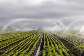 pic1 Main US Farm watering field California