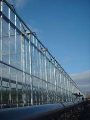 Planting begins at Cornerways glasshouse
