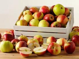 RP Frukt apples