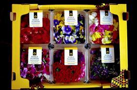 South Africa edible flowers