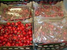 Boost for European cherry production