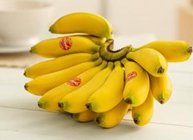 Turbana mini bananas