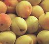 Chilean apricot forecast down