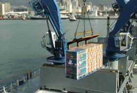 ZA Cape Town citrus loading boat vessel