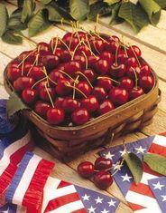 US cherry growers pull together