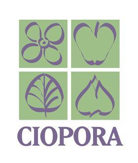 Ciopora