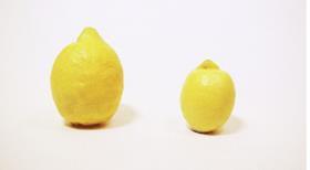 tesco giant lemon