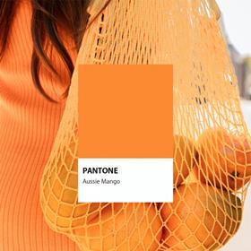 Aussie Mango Pantone