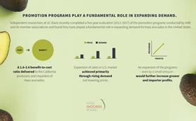 Hass Avocado Board promotion study 2019