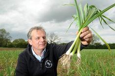 Mark Palmer, partner in Copperwheat Agriculture, with the new season crop