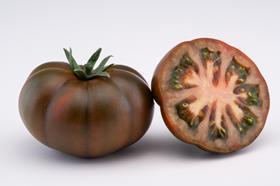 Marejeda tomato