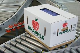 NZ New Zealand Mr Apple crate box packing
