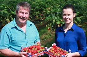 Tesco strawberries