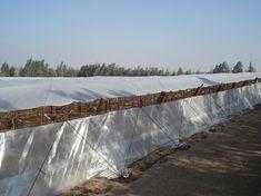 Trade Waves began trialling the TELO covering system for grapes at the end of 2006
