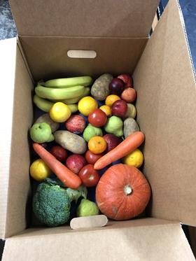 Fresh produce box NZL FIS Scheme