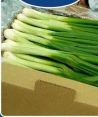 Spring in onion prices