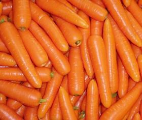 Generic carrots