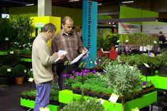 FloraHolland Trade Fair to be bigger and better in 2008