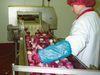 Veridian  is expanding its processed onion production capacity
