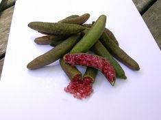Finger limes reach out to UK