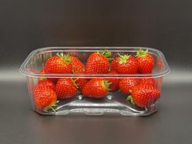 Waddington Europe strawberry basket Monoair