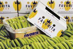 Favorita diversifies its position in Russian market