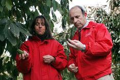 Minister Galilea (right) inspects avocados with an official