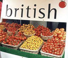 Tomato industry reliant on R&D