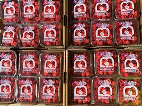 Berry World Australia christmas packaging