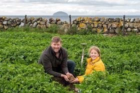 Scotty Brand Ayrshire new potatoes