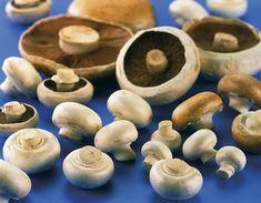 Mushrooms exploit the potential of selenium