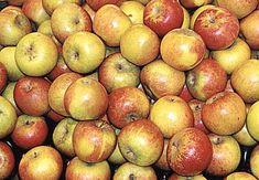 Asda stocks award-winning apples