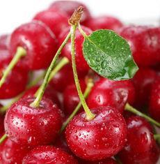 Communication lets down stonefruit at a promising time