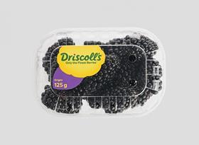 Driscolls Victoria blackberries