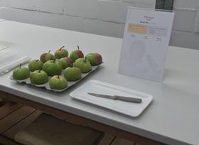 Pear taste test Provar Tastelab
