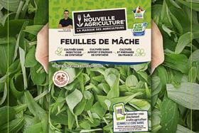 FR CREDIT Val Nantais TAGS Lamb's lettuce La Nouvelle Agriculture